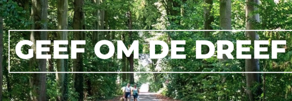 Zijn de bomen van de Dreef ziek?