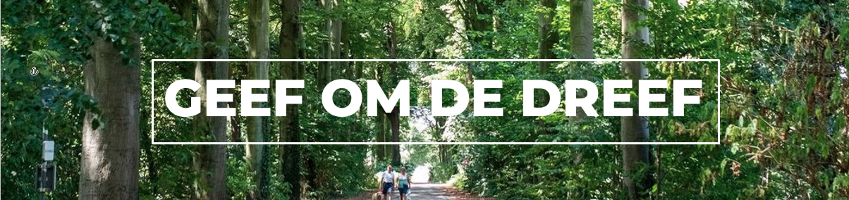 Zijn de bomen van de Dreef ziek?