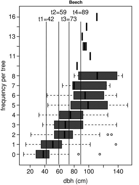Aantal microhabitats per diameter van de boom. De beuken in de dreef hebben een gemiddelde diameter van 100 cm.