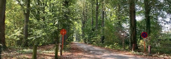 Wat is het advies van het Agentschap Natuur & Bos?