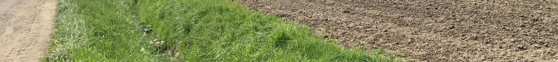 Boechout negeert strengere lozingsnorm.