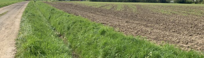 Boechout negeert strengere lozingsnorm.